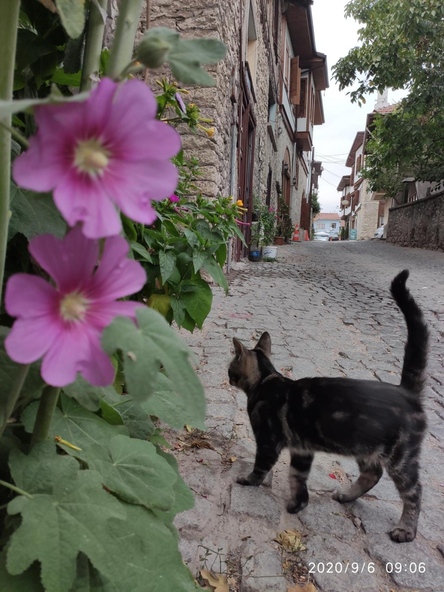 Demirkapi Konak Hotel Safranbolu Exterior foto